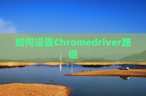 如何设置Chromedriver路径